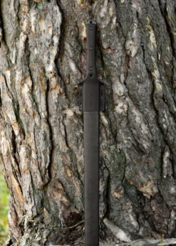 APOC Wasteland Gladius
