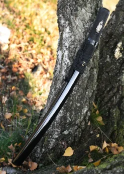 BattleBlades, Gokudo Aikuchi