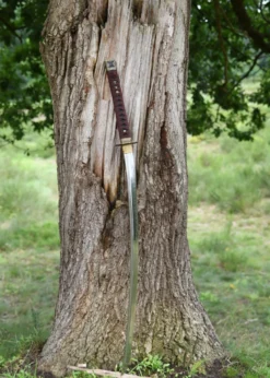 BattleBlades, Sengoku Busho Shinken