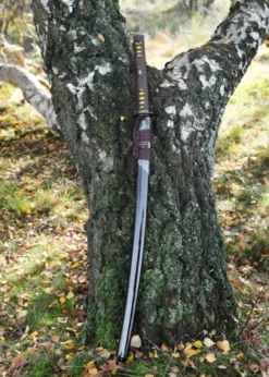 BattleBlades, Senshi Erai Hito No Katana