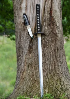 BattleBlades, Shinobi Chokuto
