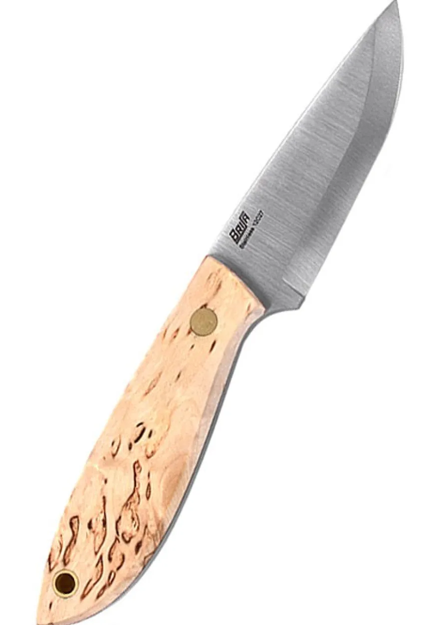Brisa Bobtail 80 - Maserbirke, Scandi