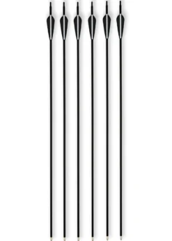 Carbon-Hybrid-Pfeile Set, 6 tlg. Metallspitze