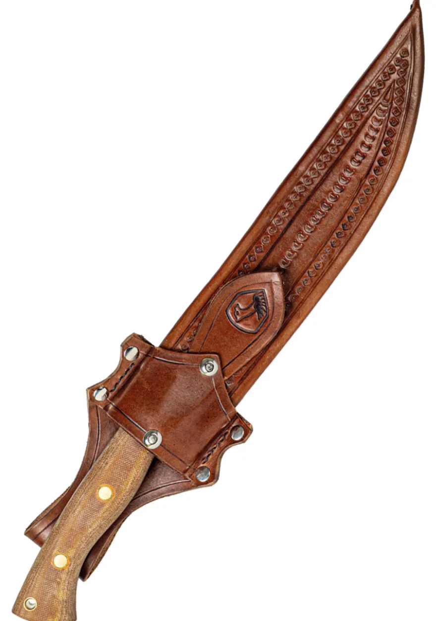 Condor, Hmong Machete