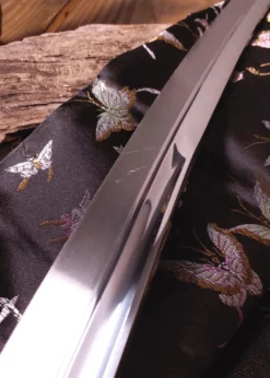 Dragonfly Katana, mit leichten Mängeln