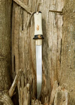 Dragon King Baika Tanto (Plum Blossom Tanto)