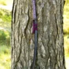 Dragon King Lotus Seed Katana