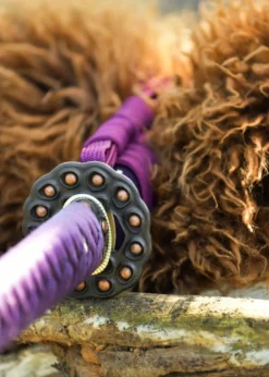 Dragon King Lotus Seed Katana