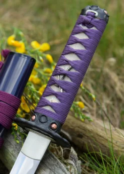 Dragon King Lotus Seed Wakizashi