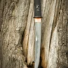 Dragon King Modern Tanto
