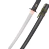 Dragon King Modern Wakizashi