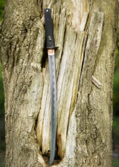 Dragon King Modern Wakizashi