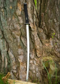 Dragon King Shi Katana