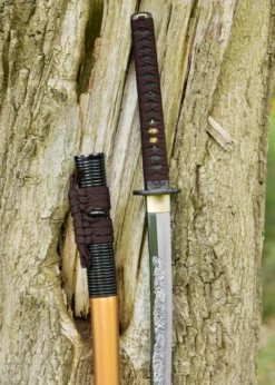Dragon King Shi Shi Botan Katana (Kinryu Katana)