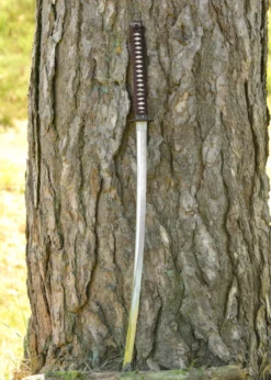 Dragon King Tenka Fubu Katana
