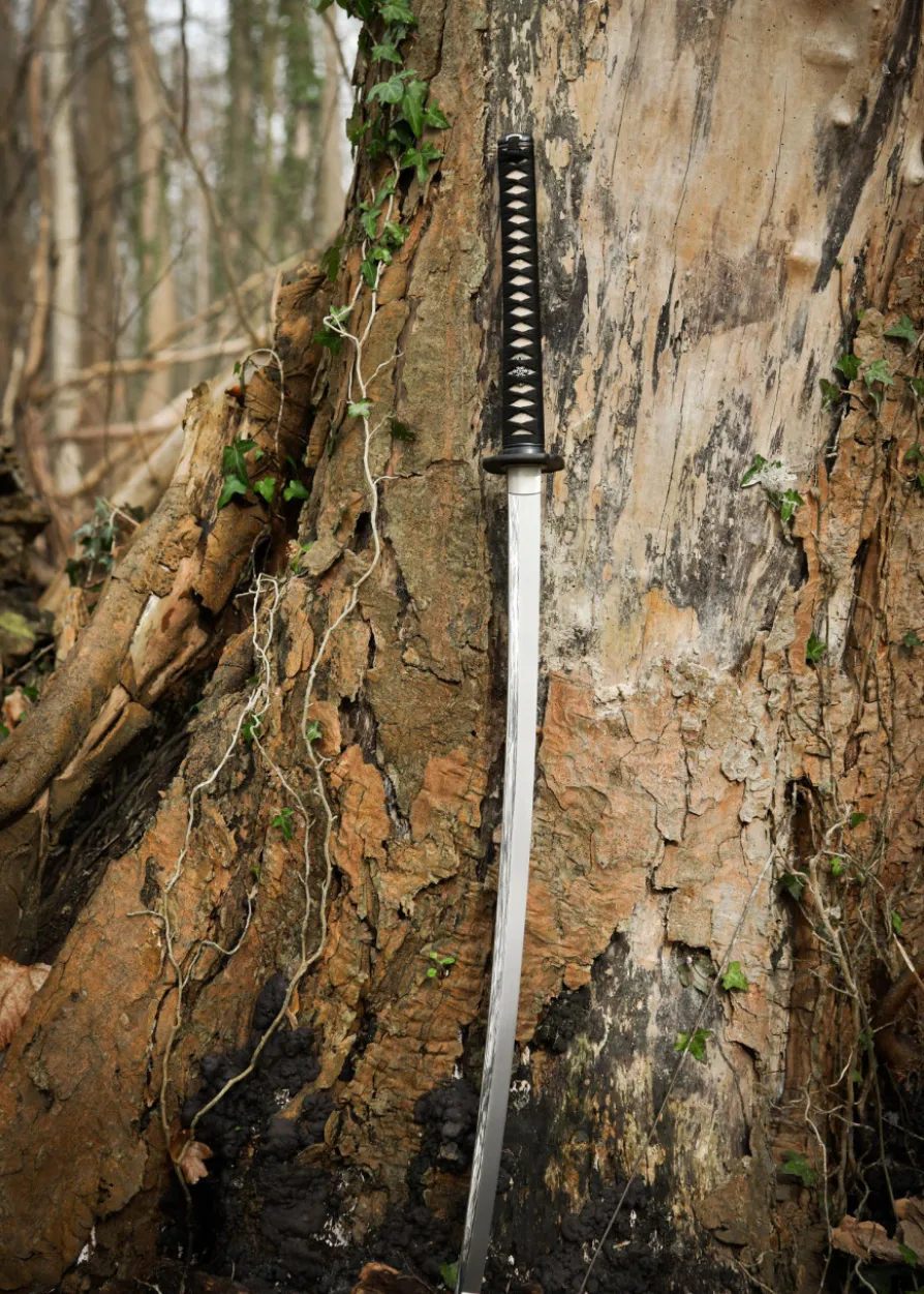 Dragon King Winter Katana