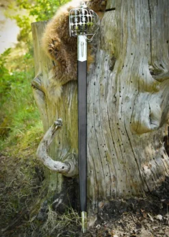 Eglinton 'Pinch of Snuff' Breitschwert der Schottischen Highland-Offiziere