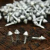 Geschmiedete Stiftnägel, 7 mm lang, Paket 100 Stück