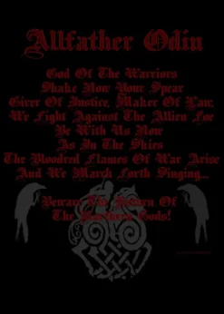 Girlie-Shirt: Beware the return of... Odin