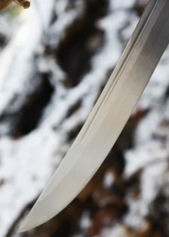 Hanwei Banshee Schwert