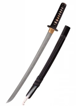 Hanwei Lion Dog Wakizashi