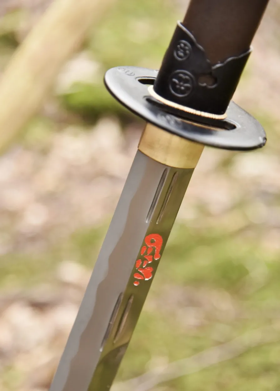 Hanwei Naginata, Paul Chen