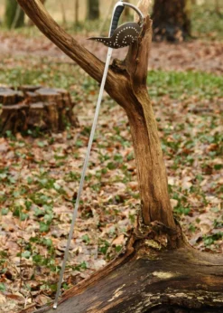 Hanwei Pecoraro Säbel
