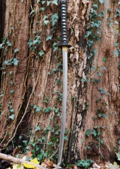Hanwei Practical Plus Katana
