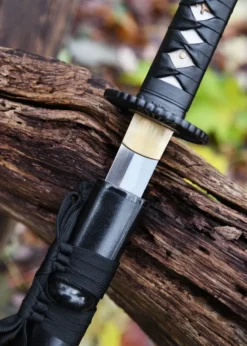 Hanwei Practical Plus Katana