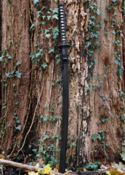 Hanwei Practical Plus Katana