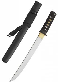 Hanwei Raptor Tanto