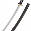 Hanwei Raptor Wakizashi