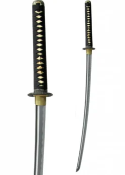 Hanwei Shinto Katana