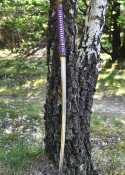 Hanwei Tonbo Katana