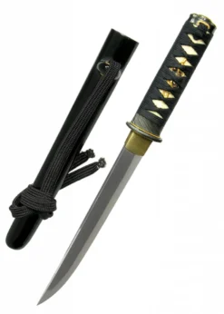 Hanwei Wind and Thunder Tanto