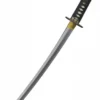 Hanwei Wind and Thunder Wakizashi