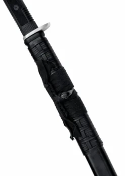 Honshu Boshin Katana