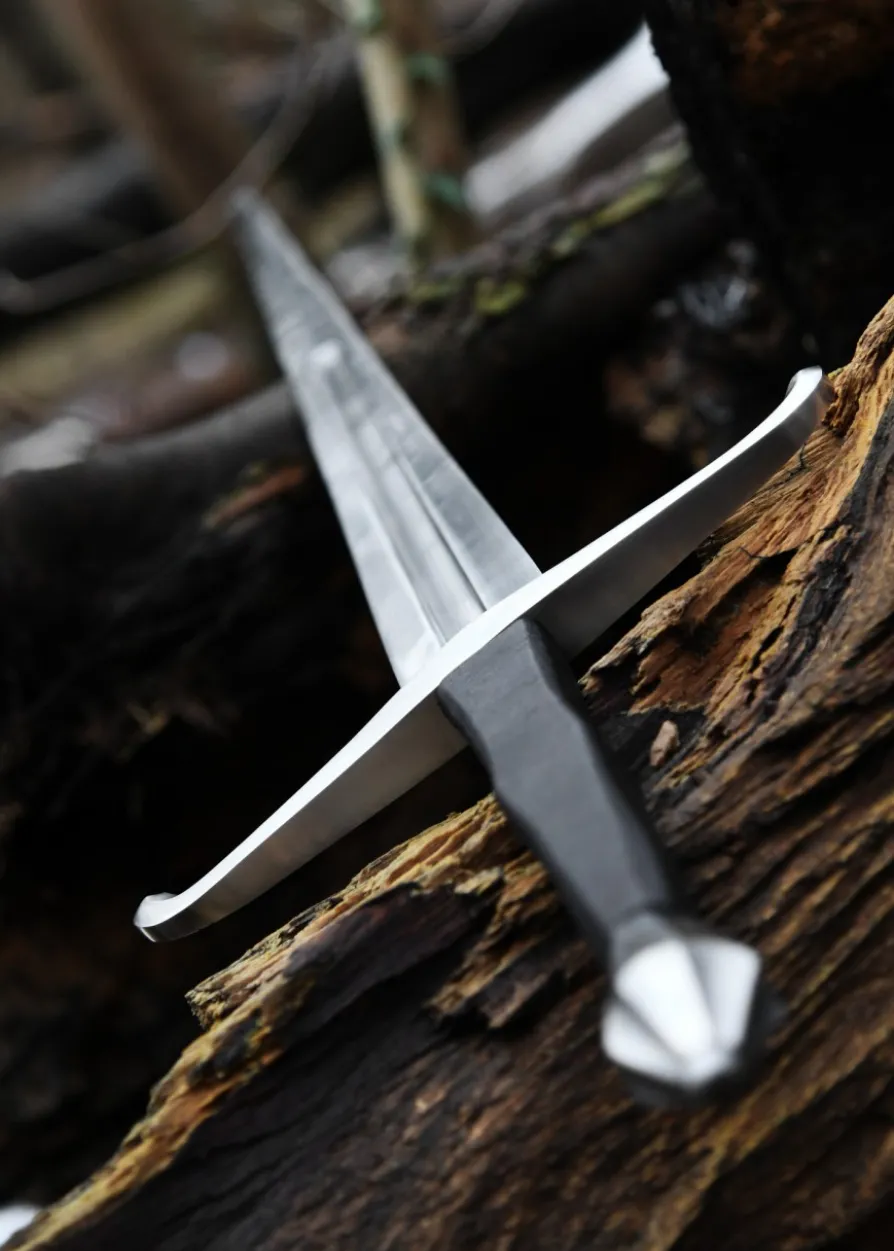 Italienischer Anderthalbhänder mit Scheide
