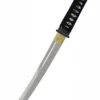 John Lee Aikuchi Tanto