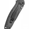 Kershaw LEEK, BlackWash, Taschenmesser