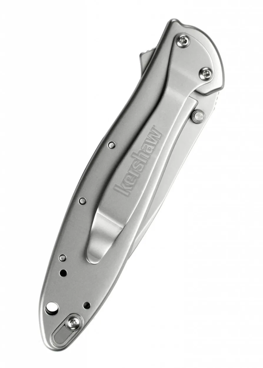 Kershaw LEEK, Komposit-Klinge, Taschenmesser