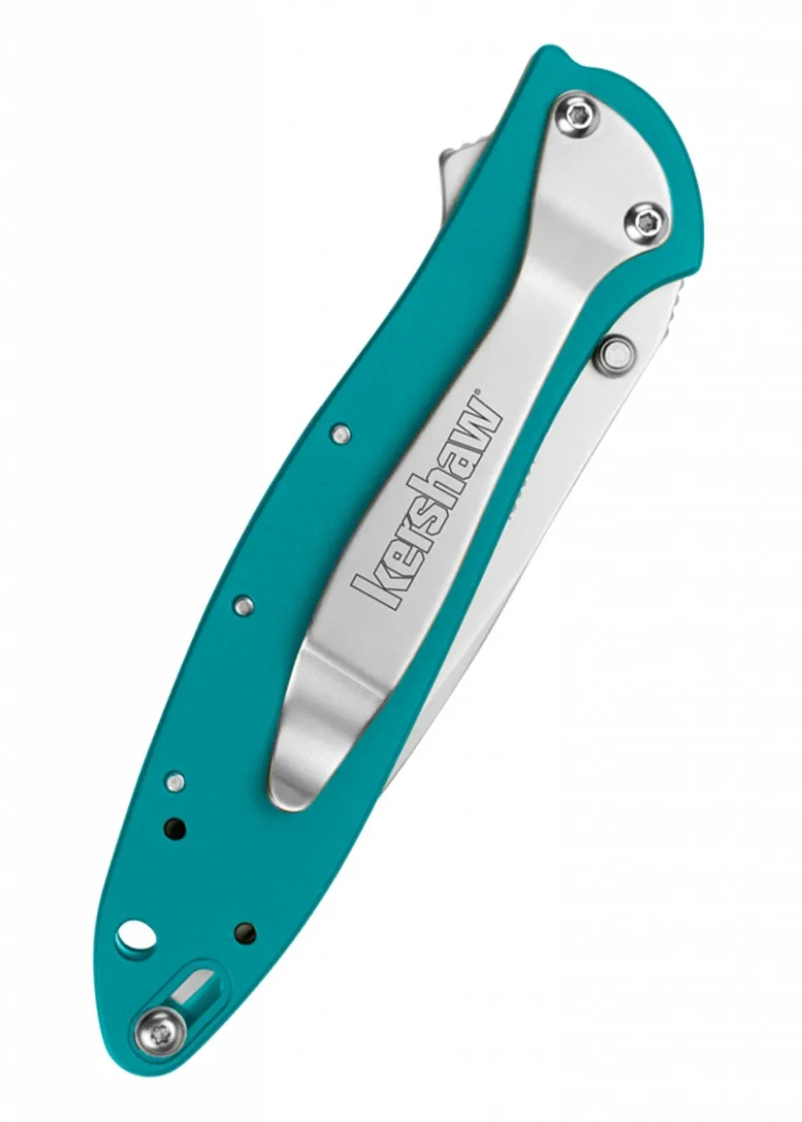 Kershaw LEEK, Petrol, Taschenmesser