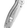 Kershaw LEEK, Taschenmesser