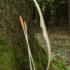 Kinderbogen-Set Little Archer, 30 Zoll
