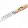 Kleines Taschenmesser mit Sheepfoot-Klinge