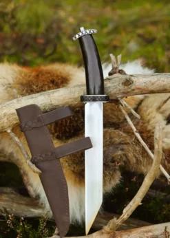 Kurzsax mit Horngriff und Lederscheide