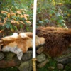 LARP Schwert Takeo, Polsterwaffe, 107 cm