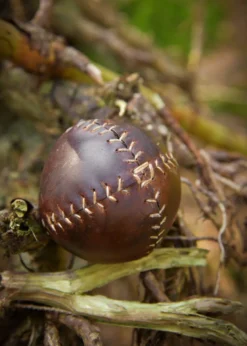 Leder Ball, braun, verschiedene Größen