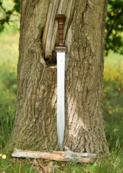 Legacy Arms Römischer Gladius Typ Mainz
