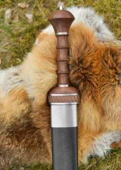 Legacy Arms Römischer Gladius Typ Mainz